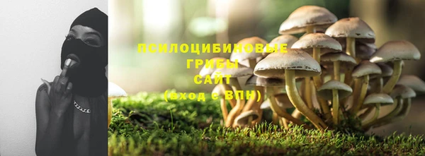 тгк Абинск
