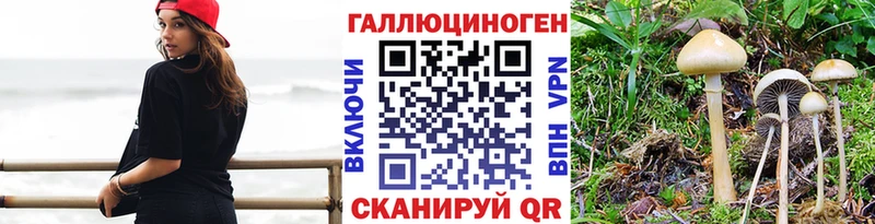 цены наркотик  Курск  блэк спрут ТОР  Галлюциногенные грибы прущие грибы 