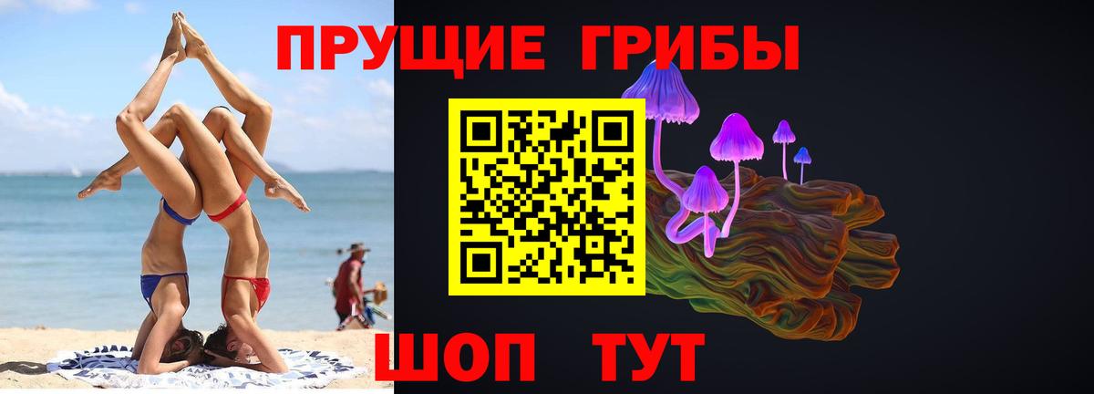Псилоцибиновые грибы GOLDEN TEACHER  Вход с VPN  Курск  Галлюциногенные грибы Psilocybine cubensis 